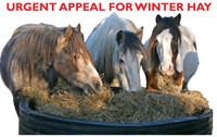 Urgent Winter Hay Appeal...