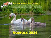 Hillside 2024 Countryside and Wildlife Calendar
