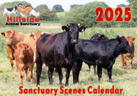 Hillside 2025 Sanctuary Scenes Calendar