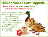 Gift a Sack of Mixed Corn