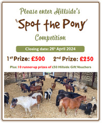 Hillside 'Spot the Pony' Competition 
