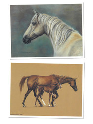 Horse Watercolour Greeting Cards