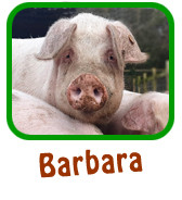 Barbara Adoption