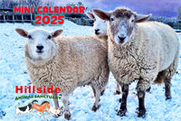 Hillside Sanctuary Scenes 2025 Mini Calendar