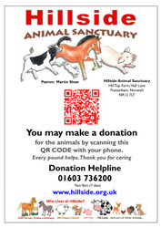 Donation Poster with QR Code