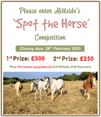 'Spot the Horse' Competition 