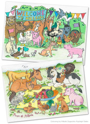 Hillside 'Colour Your Own' Greeting Cards