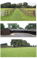 Hillside Land and Stable Appeal