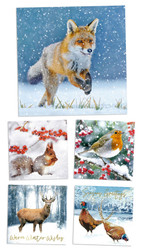NEW 2025 Hillside 'Winter Wilds' Christmas Cards