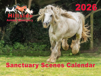Hillside 2026 Sanctuary Scenes Calendar
