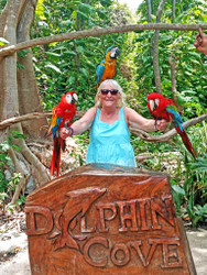 In loving memory of Patricia Goodwin