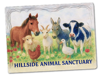 New Hillside Magnet