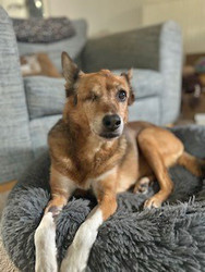  In Loving Memory of Sanni