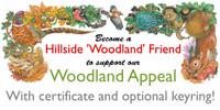 Become a Hillside 'Woodland Friend'