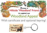 Become a Hillside 'Woodland Friend'