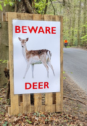Deer Warning Roadsign....