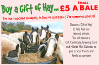 Gift a Bale of Hay