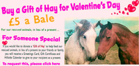 Gift a Bale of Hay