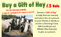 Gift a Bale of Hay