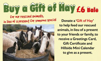 Gift a Bale of Hay