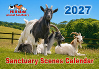 Hillside 2027 Sanctuary Scenes Calendar