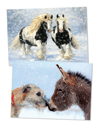 'Snowy Friends' Christmas Cards 