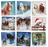 'Winter Time' Christmas Cards