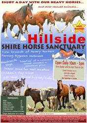 Hillside Open Day Posters (free of charge)
