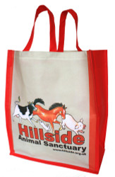 Large Hillside Bag (HB53)