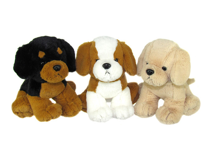 cuddly dog teddy