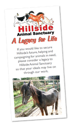 Hillside Legacy Leaflet