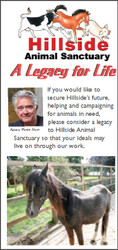 Hillside Legacy Leaflet (Download Version)