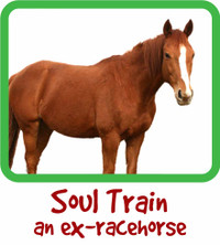 Soul Train Adoption