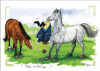 Horse Cartoon Cards