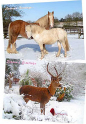 Hillside Sanctuary Scenes Christmas Cards (XX20)
