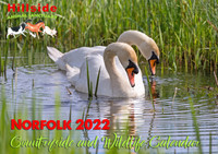 Hillside 2022 Norfolk Countryside and Wildlife Calendar