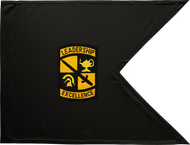 ROTC Guidon Black and Gold Unframed 20x29