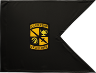 ROTC Guidon Black and Gold Unframed 10x15