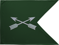 Special Forces Guidon Framed 16x20