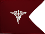 Medical Corps Guidon Framed 11x14