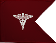 Medical Corps Guidon Framed 16x20