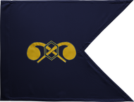 Chemical Corps Guidon Framed 08x10