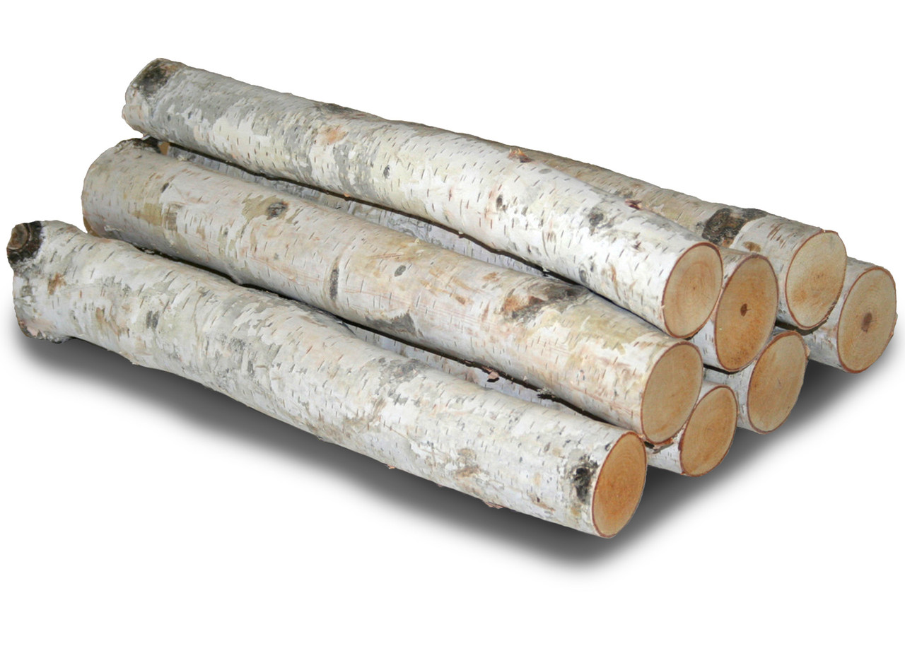 Wilson® Enterprises Large White Birch Logs Set, 3ct.