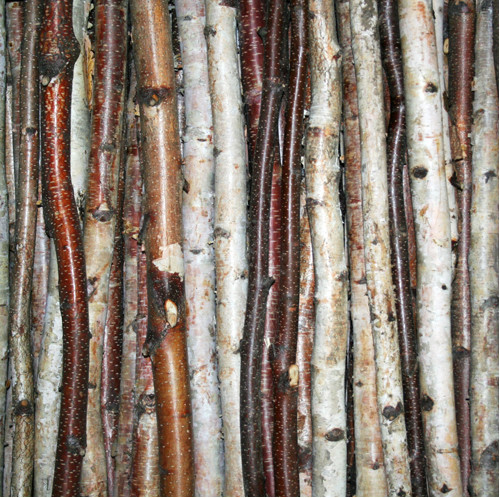 8 Thin White Birch Poles 2' 