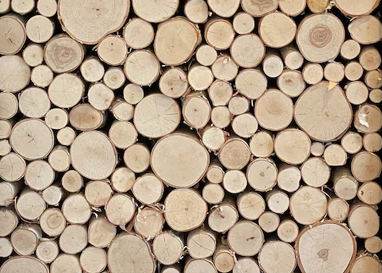 White Birch Logs Decorative: Transform Your Space with Nature's Beauty