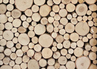 Wilson 8"-9" Decorative White Birch Fill-A-Space Logs, Natural Home Décor - 1.5"-4" Dia. (1 Sq. Ft)