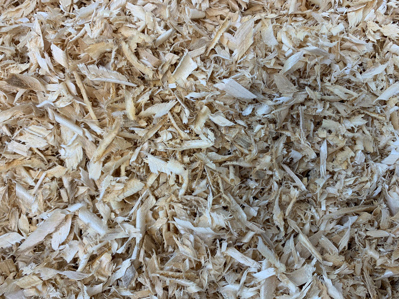 All Natural Kiln Dried Wood Shavings (18 Liters, 1,100 Cubic inches) -  Wilson Enterprises, Inc.