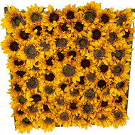 Original Artwork "Sunflower 14" Silk flowers in Sparkling Brown Frame 24"x24"