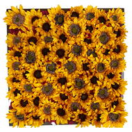 Original Artwork - "Sunflower 17" Silk flowers in Sparkling Brown Frame 24"x24"