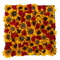 Original Artwork "Sunflower 23" Silk flowers in Sparkling Brown Frame 24"x24"